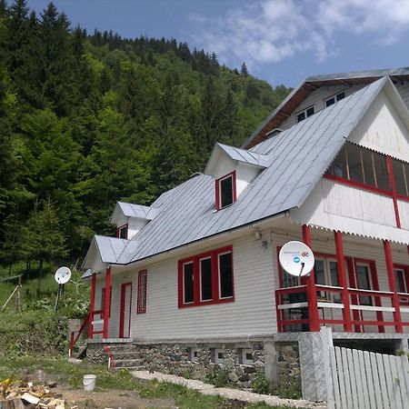 Cabana Dara Cumpăna Zimmer foto